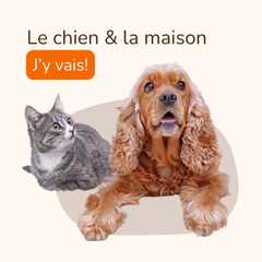 Collection image for: Chien & maison