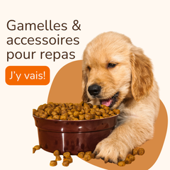 Collection image for: Gamelles & Accessoires repas
