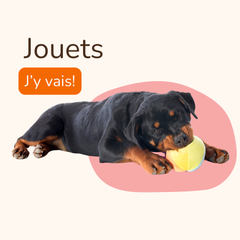 Collection image for: Jouets