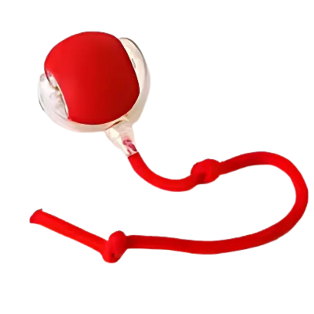 Balle électrique imitation souris pour chat