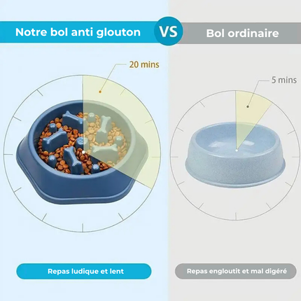 Gamelle Anti-glouton pour chien