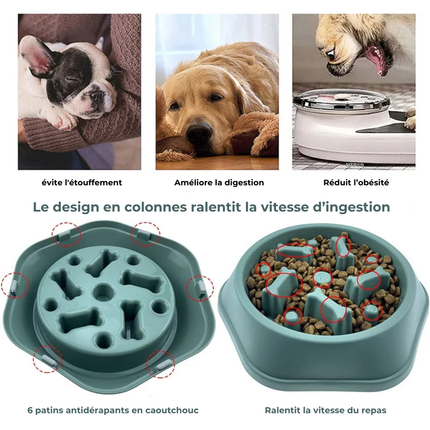 Gamelle Anti-glouton pour chien