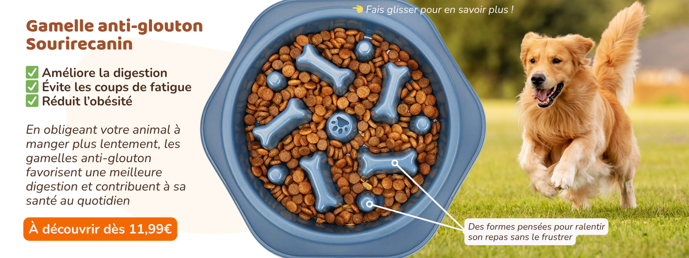 <h2>Découvrez la gamelle anti-glouton</h2>