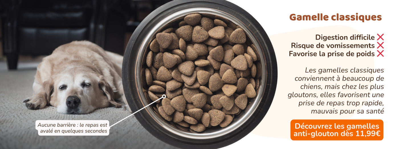 <h2>Découvrez la gamelle anti-glouton</h2>