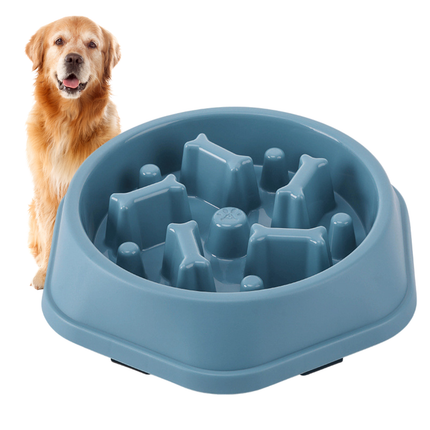Gamelle Anti-glouton pour chien