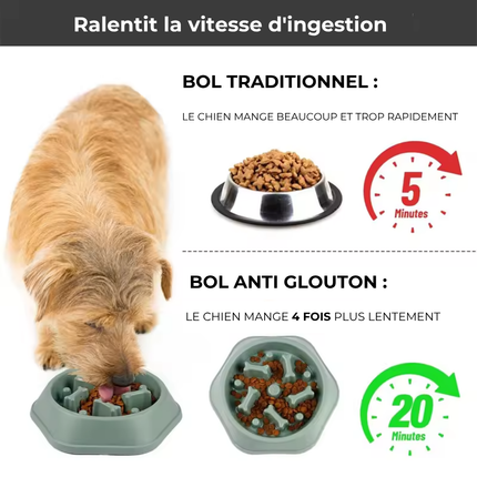Gamelle Anti-glouton pour chien