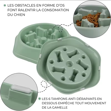 Gamelle Anti-glouton pour chien