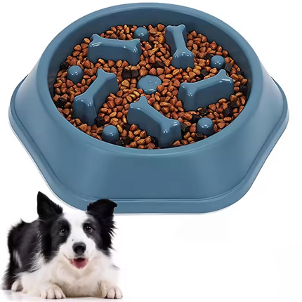 Gamelle Anti-glouton pour chien