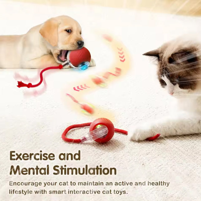 Balle électrique imitation souris pour chat