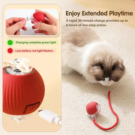 Balle électrique imitation souris pour chat