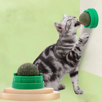 Jouet à Gratter Mural en Herbe à Chat avec Balle et Friandises Naturelles – Aide à la Digestion, Élimine les Boules de Poils, Détente et Plaisir pour Chats