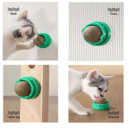 Jouet à Gratter Mural en Herbe à Chat avec Balle et Friandises Naturelles – Aide à la Digestion, Élimine les Boules de Poils, Détente et Plaisir pour Chats