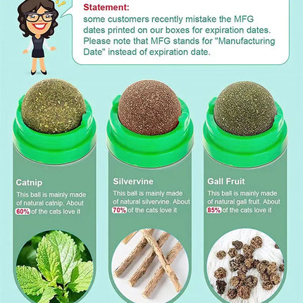 Jouet à Gratter Mural en Herbe à Chat avec Balle et Friandises Naturelles – Aide à la Digestion, Élimine les Boules de Poils, Détente et Plaisir pour Chats